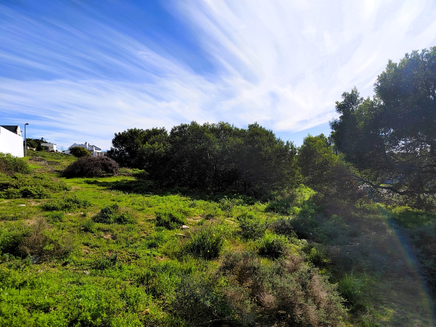 0 Bedroom Property for Sale in Da Gama Bay Western Cape